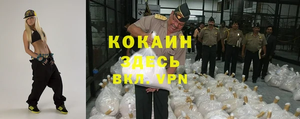 винт Алзамай