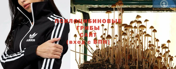 винт Алзамай