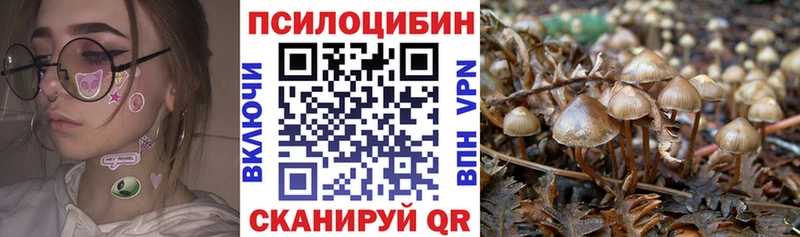 площадка состав  Карачаевск  Псилоцибиновые грибы GOLDEN TEACHER  что такое наркотик 